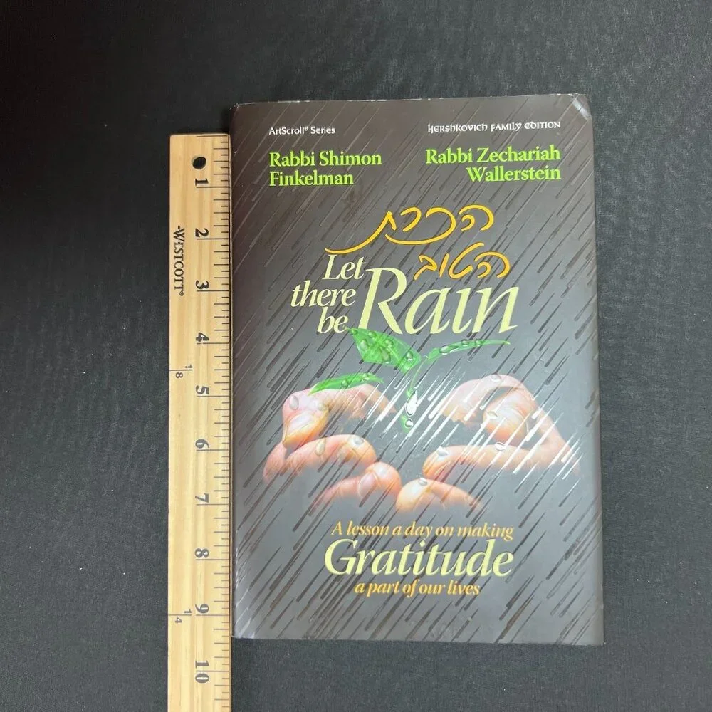 Let There Be Rain A Lesson A Day On Making Gratitude A Part Of Our Lives - Picture 7 of 10